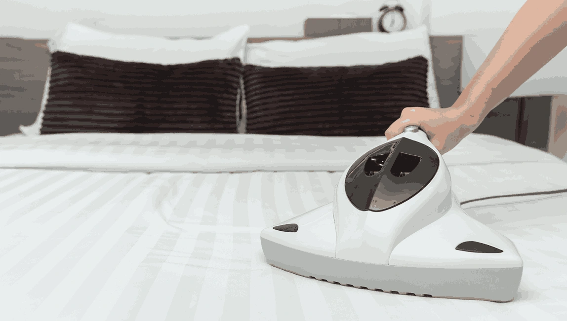 Professional Mattress Cleaning Wandana Heights