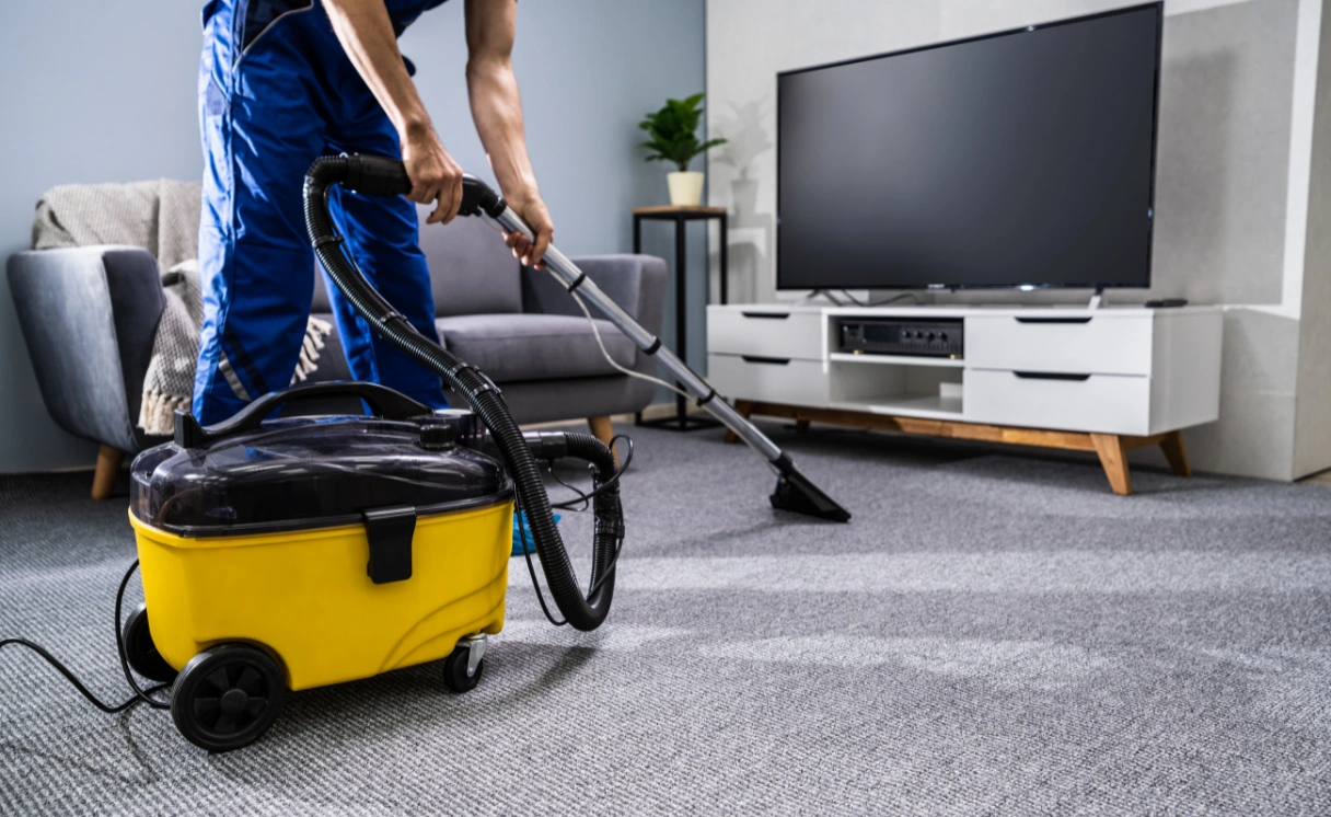 Extract Mattress Cleaning Wandana Heights Contact Office